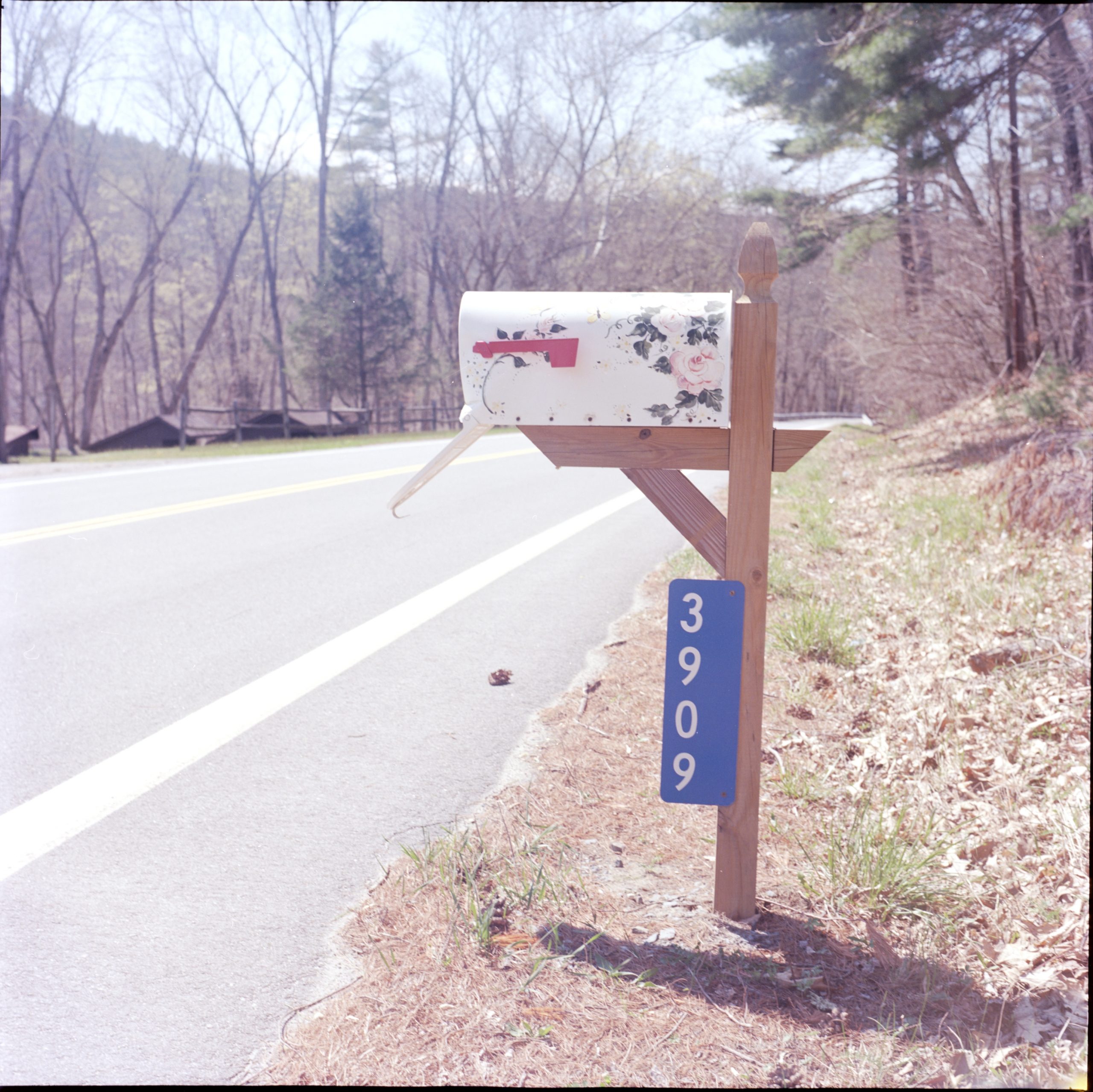 Floral Mailbox on Route 97. Photo by Krystal Grow, 2021.