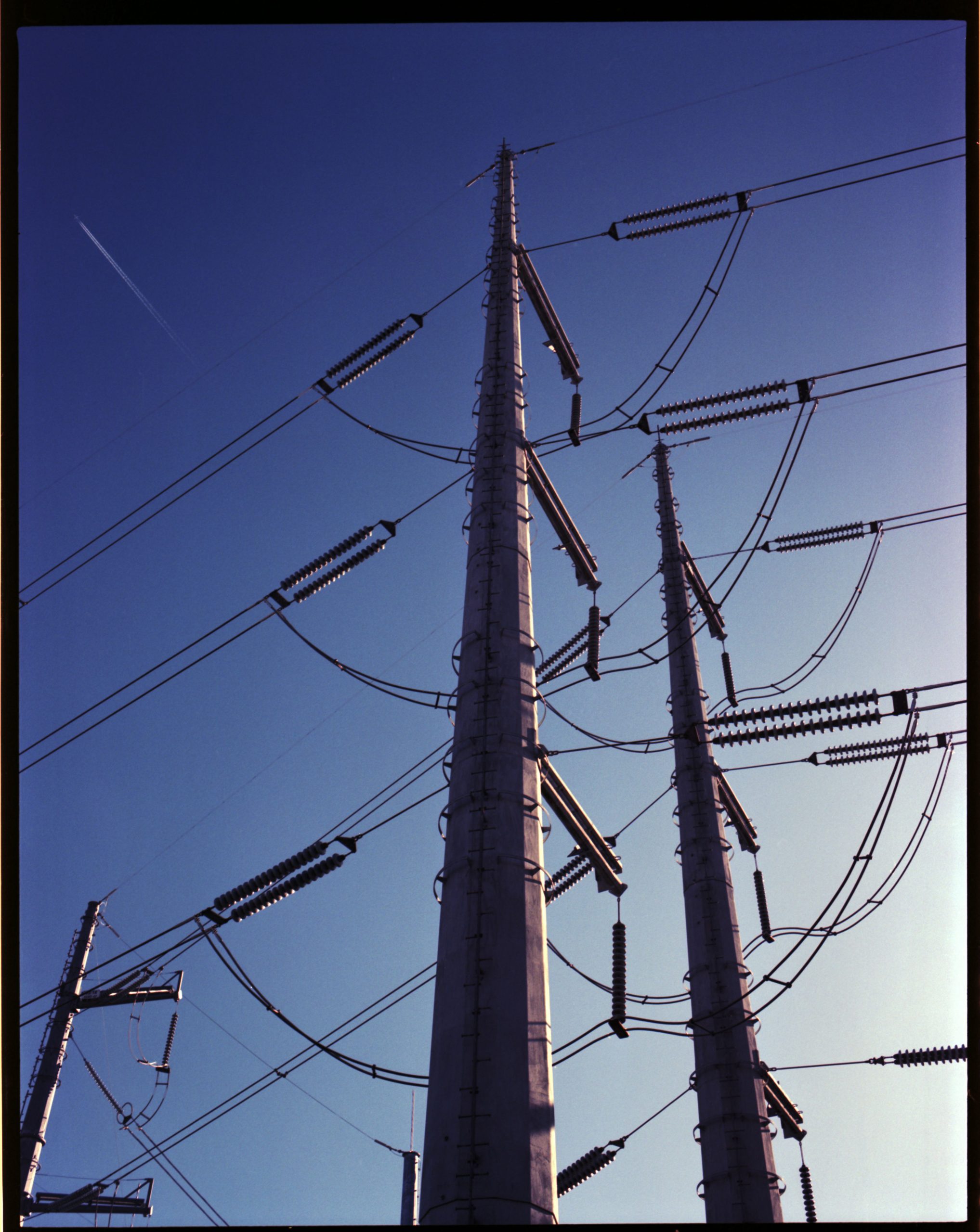 Middletown Powerlines, 2022. Photo by Krystal Grow